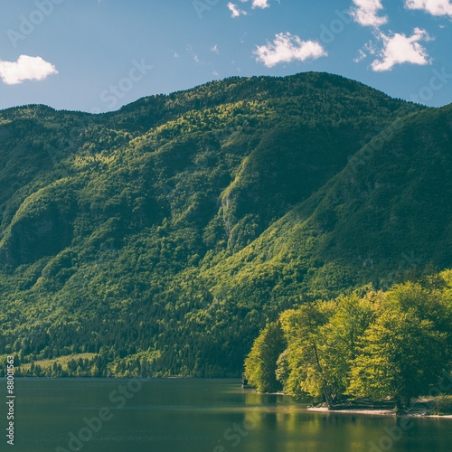 Retro filtered mountain landscape