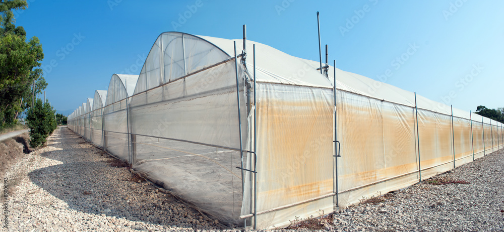 Fototapeta premium Greenhouses for agriculture