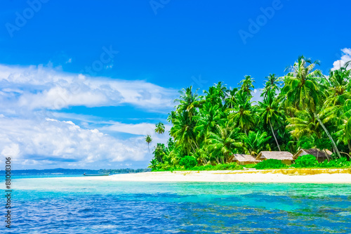 Tropical island landscape