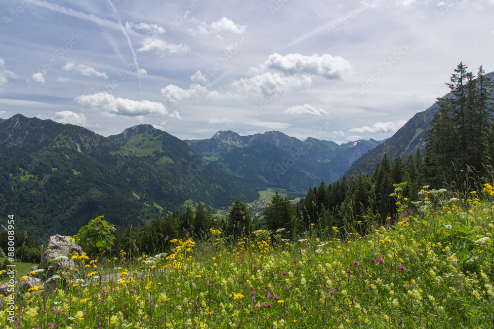 Blick auf das Hintersteiner Tal