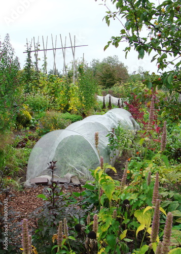 Gemüsegarten mit Folientunnel im Spätsommer