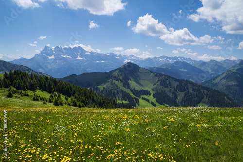 Beautiful summer landscape with flowers and blue sky in the French Alps  Rhone - Alpes region