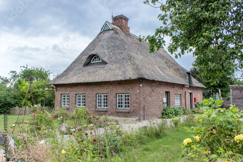 Thatched House / old thatched house