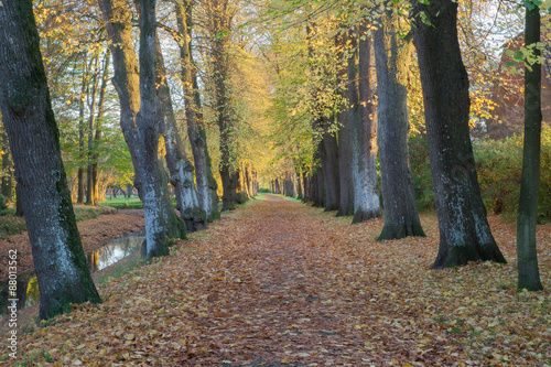 Landschaften im Herbst