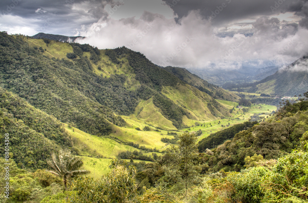 The valley of Cocora near Salento, Colombia
