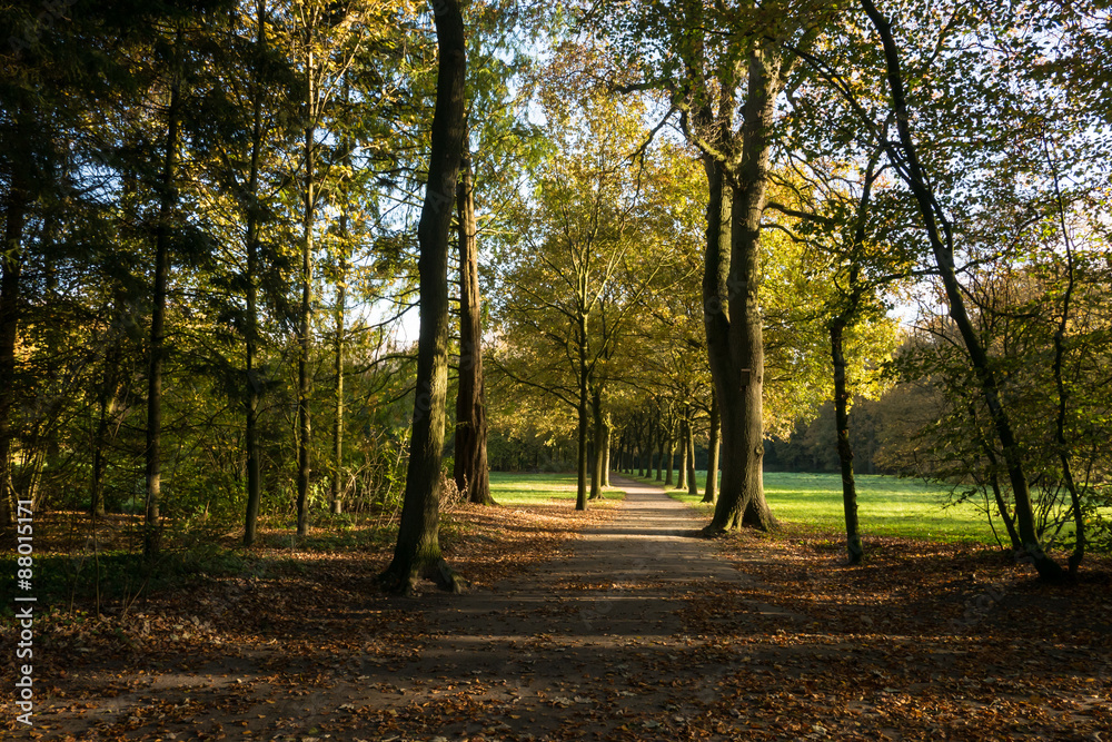 Fototapeta premium Landschaften im Herbst