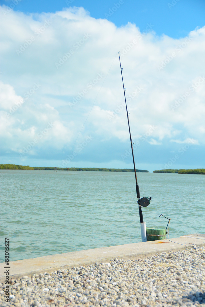 Fishing pole Fishing pole