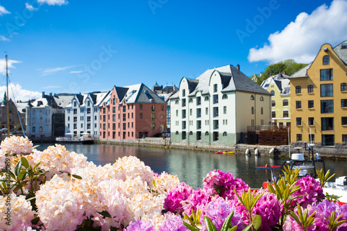 Tableau sur toile flowers of Alesund