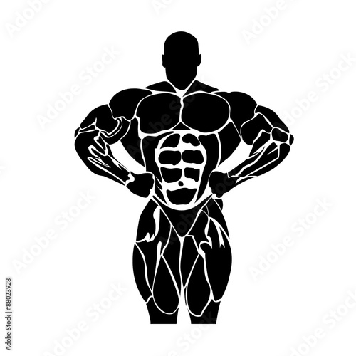 Bodybuilding, power lifting concept isolated on white background, vector, illustration