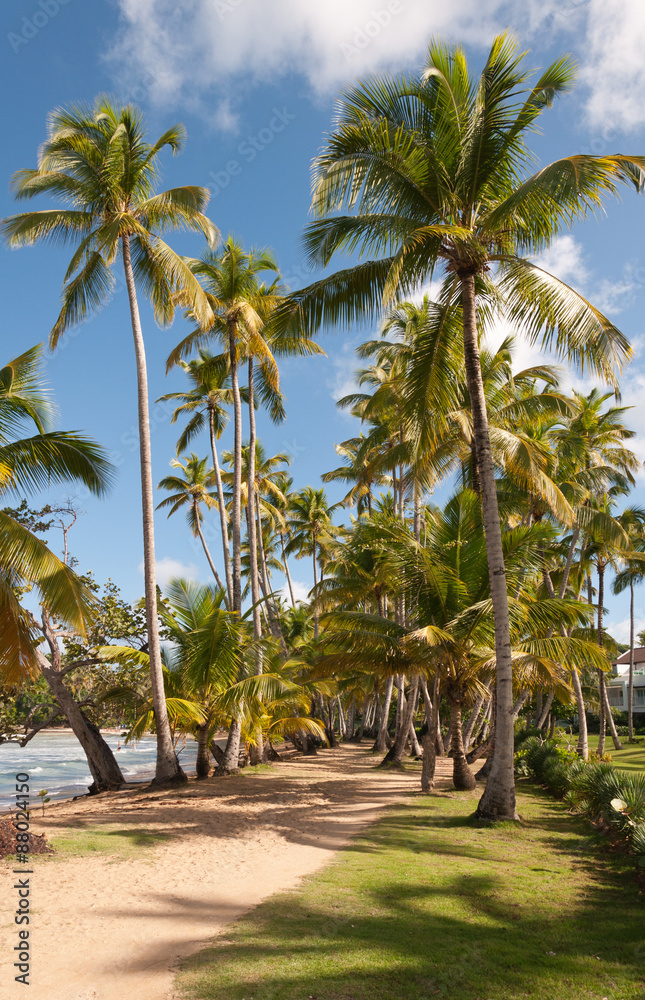 Caribbean sea and beach Caribbean sea and beach