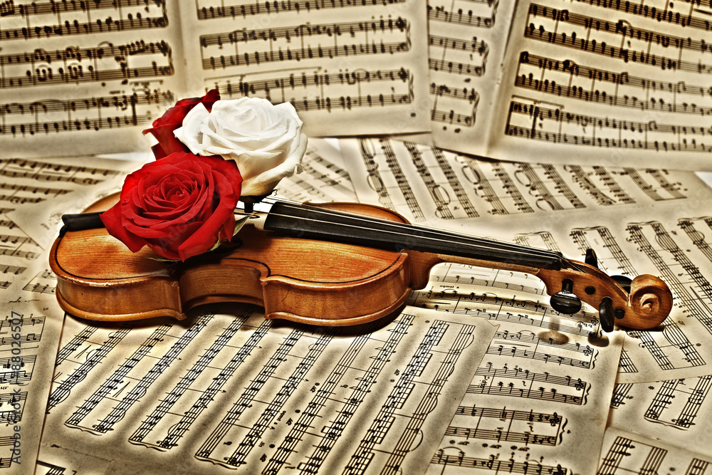 Fototapeta premium old violin with musical notes and roses