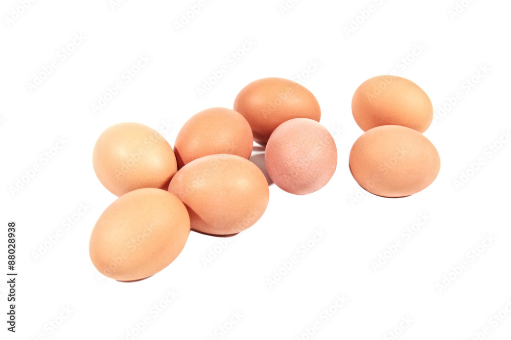 Chicken eggs on white background Chicken eggs on white background