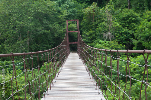 Rope walkway through the treetops in a rain forest