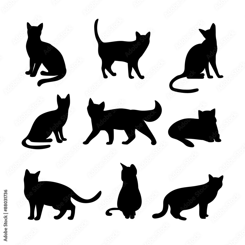 Cats silhouettes