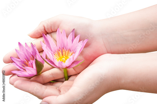 lotus flowers on hand