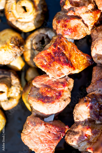 Grilled Meat and Mushroom Kebab