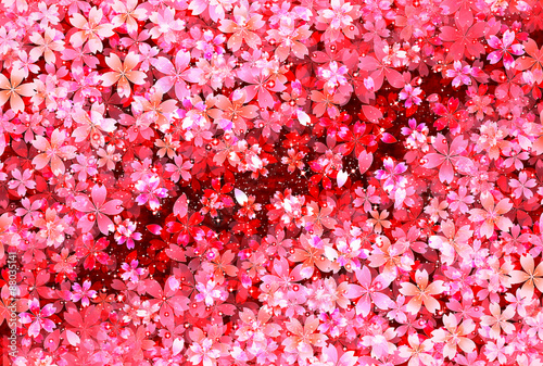 桜　年賀状　背景