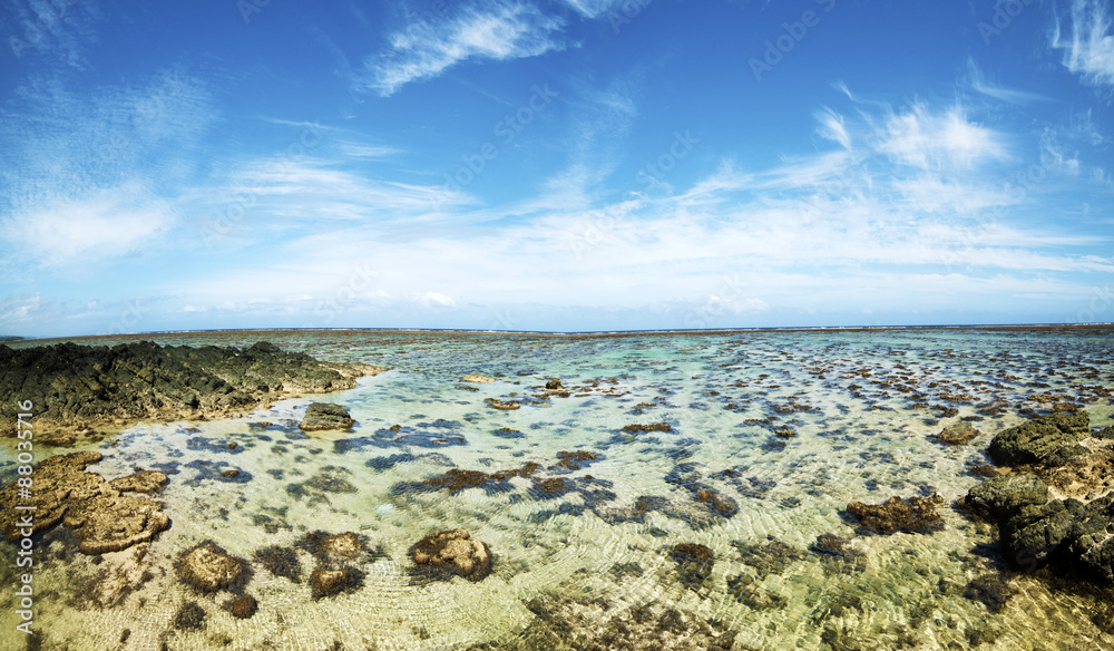 Coral view Coral view
