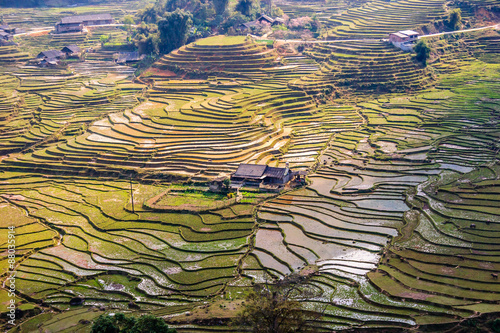 Rice field terraces in Vietnam