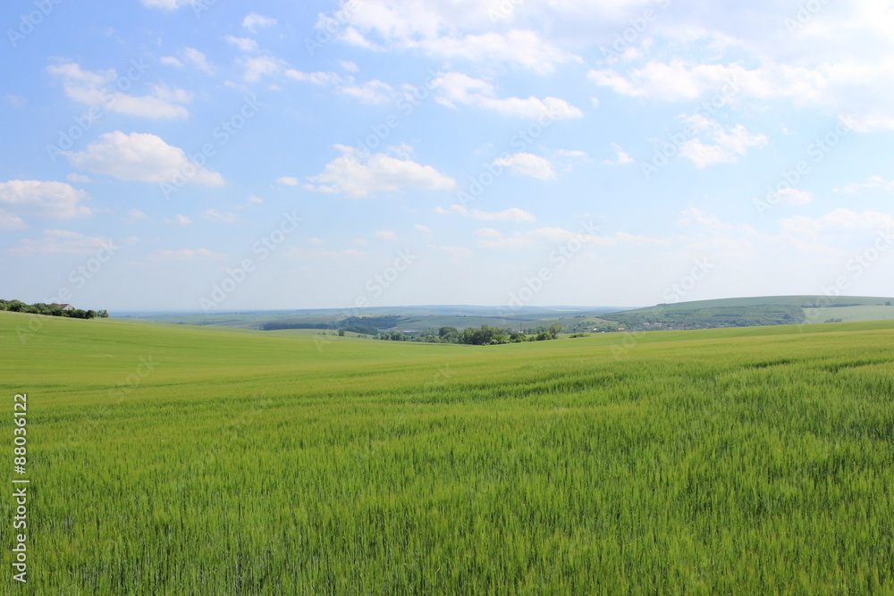チェコ共和国のモラヴィア大草原