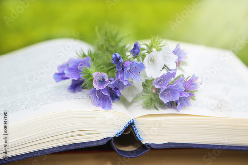Open book on nature background. Book with summer flowers on nature
