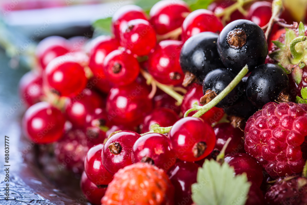 Red currant sponge cake. Plate with Assorted summer berries, raspberries, strawberries, cherries, currants, gooseberries Red currant sponge cake. Plate with Assorted summer berries, raspberries, strawberries, cherries, currants, gooseberries