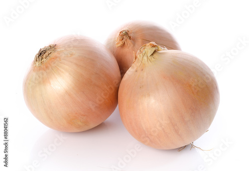 Fresh yellow onions