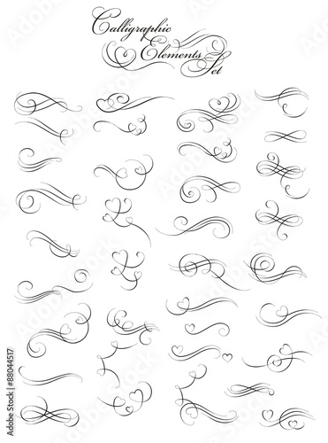 calligraphic floral design elements.