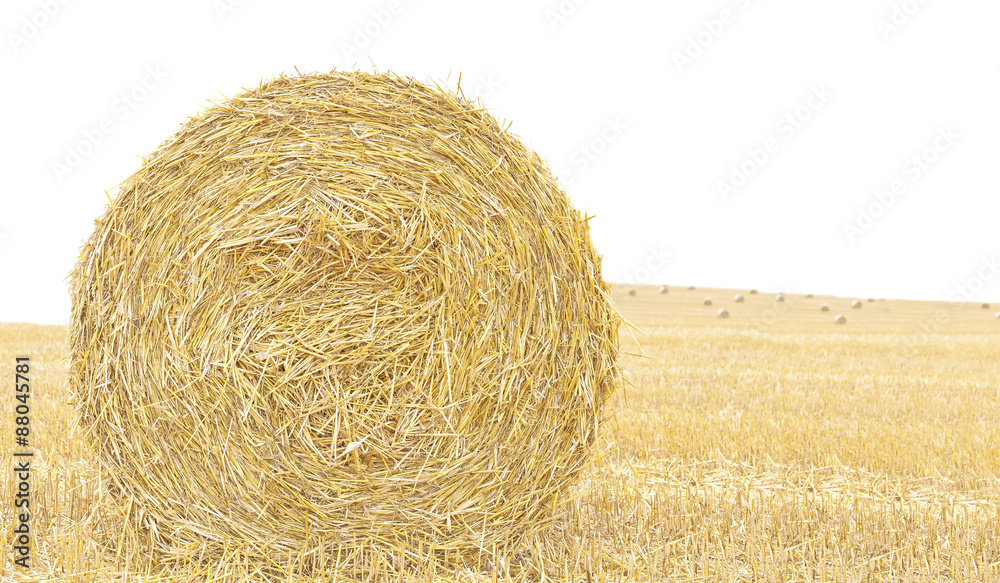 Hay bale isolated close up background with space for text. Hay bale isolated close up background with space for text.