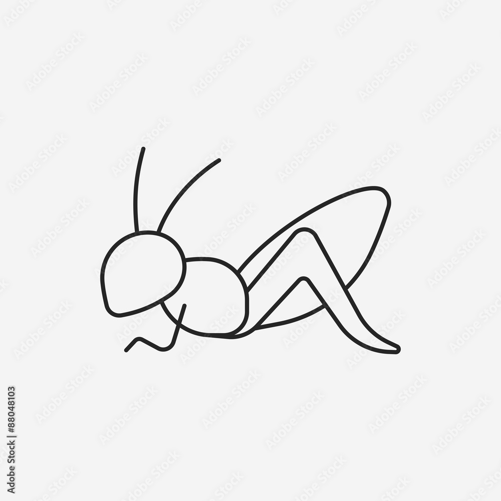 insect line icon insect line icon