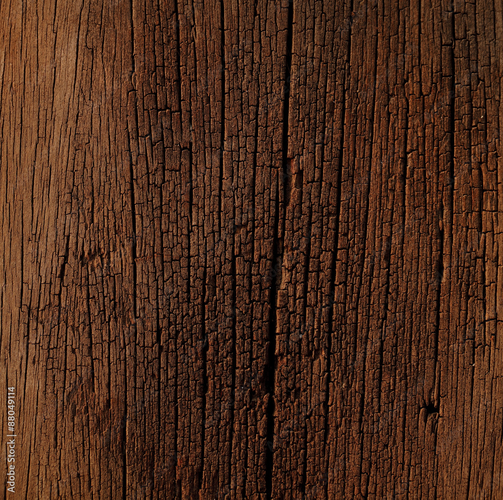 Fototapeta premium Old wood texture.