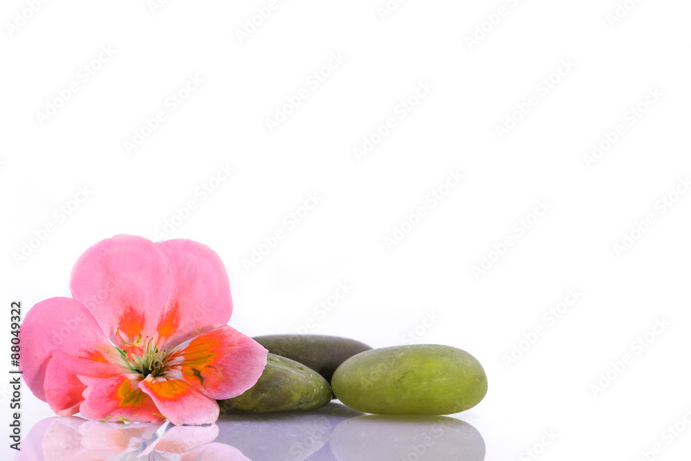 Spa still life Spa still life