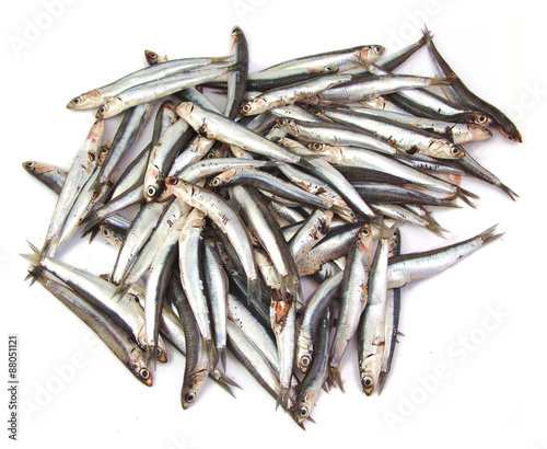 Bunch of anchovies on white background
