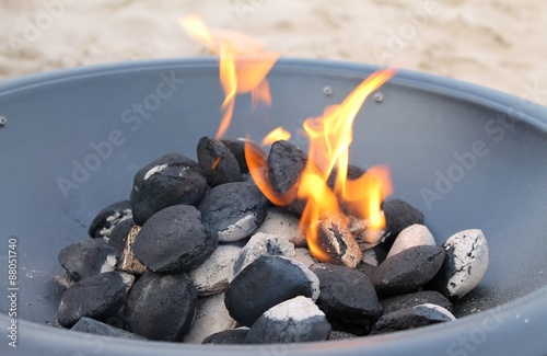 Coal burning garden fire pit