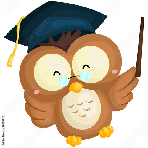 Graduation owl