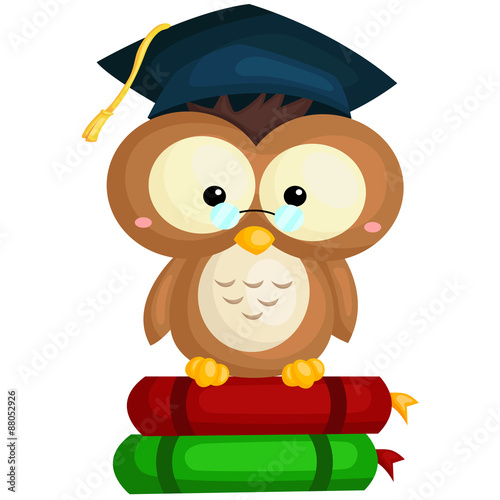 Owl and Book