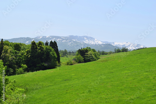 初夏の月山高原牧場の風景／山形県鶴岡市羽黒町川代にある月山高原牧場で撮影した写真です。この牧場は約100haの緑のジュウタンが広がり、雄大な高原の中で牛や羊を眺められます。高原からの眺めは最高で、ひそかな観光ポイントになっています。 photo