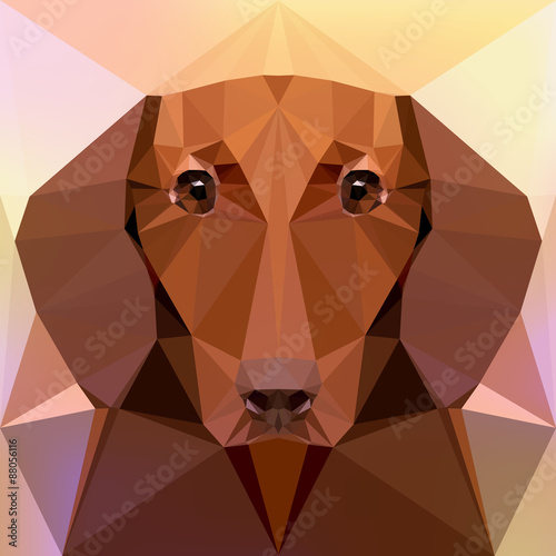 Vector illustration - Face of a dachshund dog 
