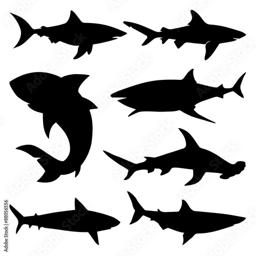 Shark Silhouettes