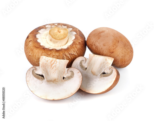 champignon mushrooms isolated on white