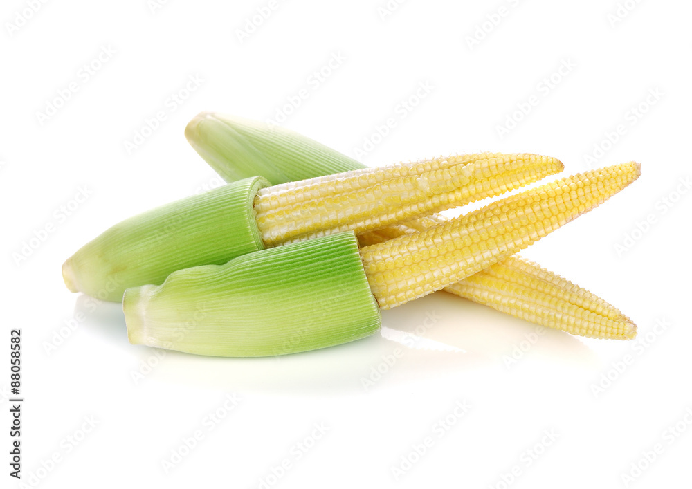 Baby corn on white background Baby corn on white background