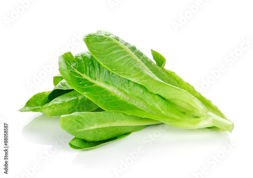 fresh Cos Lettuce on a White Background