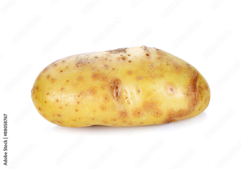 potato isolated on white background potato isolated on white background