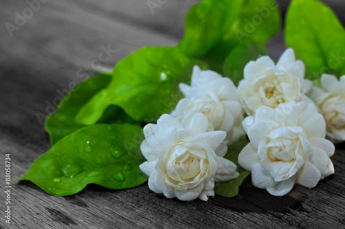 Jasmine flowers and leaves on brown wooden.