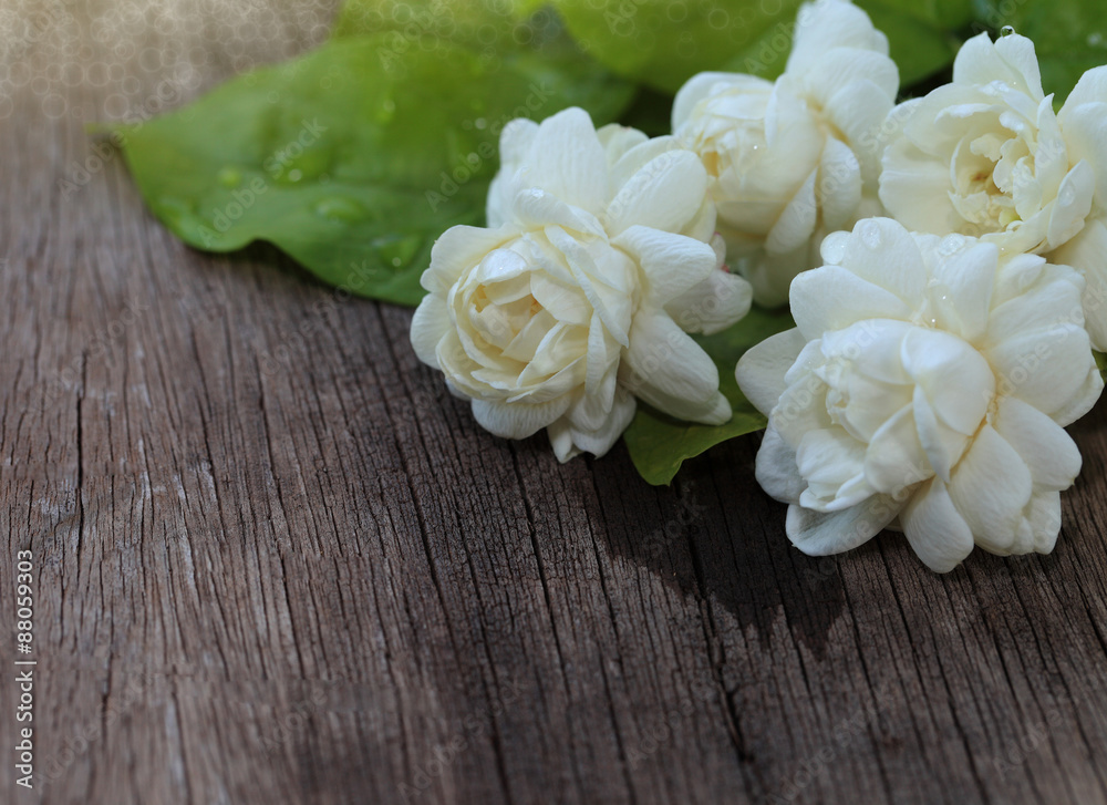 Tropical jasmine flower on wood.Jasmine flowers and leaves on brown wooden table. Tropical jasmine flower on wood.Jasmine flowers and leaves on brown wooden table.