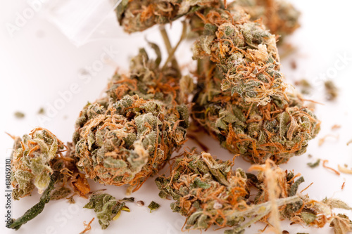 Close up Dried Marijuana Leaves on the Table photo