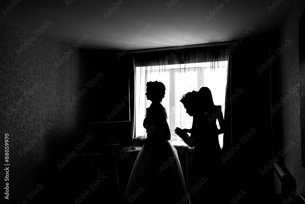 silhouette of the Bride Dresses silhouette of the Bride Dresses