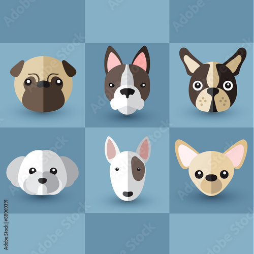 Fototapeta Naklejka Na Ścianę i Meble -  Dog Breeds : Vector Illustration