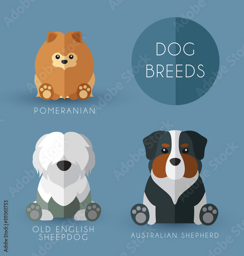 Dog Breeds : Vector Illustration