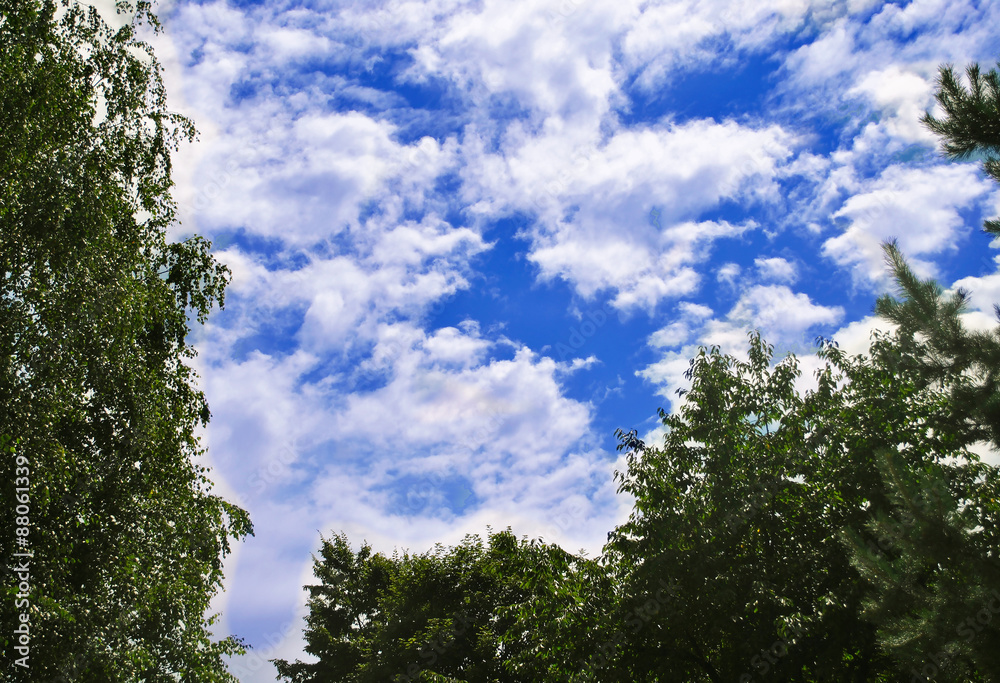 blue sky and clouds